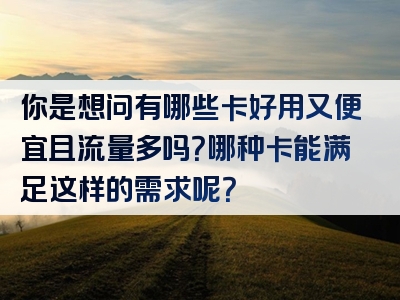 你是想问有哪些卡好用又便宜且流量多吗？哪种卡能满足这样的需求呢？