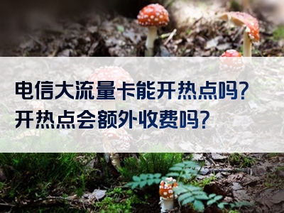 电信大流量卡能开热点吗？开热点会额外收费吗？
