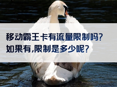 移动霸王卡有流量限制吗？如果有，限制是多少呢？