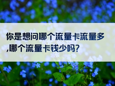 你是想问哪个流量卡流量多，哪个流量卡钱少吗？