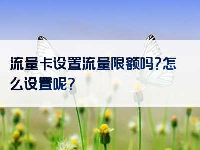 流量卡设置流量限额吗？怎么设置呢？