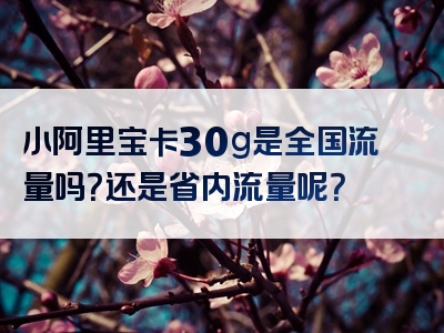 小阿里宝卡30g是全国流量吗？还是省内流量呢？