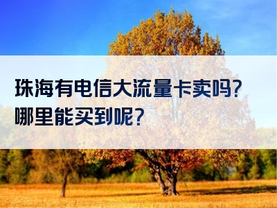 珠海有电信大流量卡卖吗？哪里能买到呢？