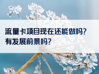 流量卡项目现在还能做吗？有发展前景吗？