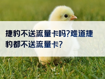 捷豹不送流量卡吗？难道捷豹都不送流量卡？