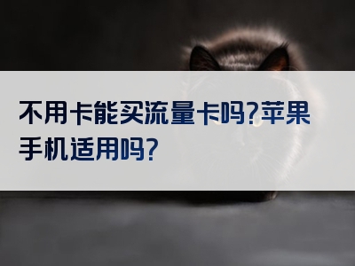 不用卡能买流量卡吗？苹果手机适用吗？