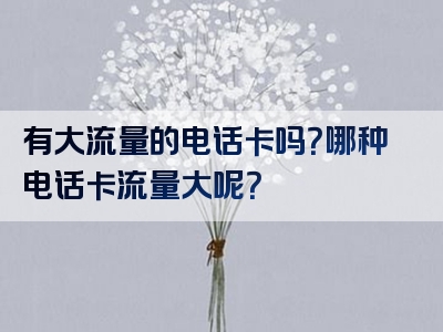 有大流量的电话卡吗？哪种电话卡流量大呢？