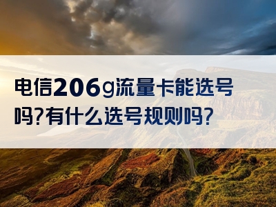 电信206g流量卡能选号吗？有什么选号规则吗？