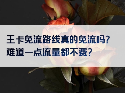 王卡免流路线真的免流吗？难道一点流量都不费？