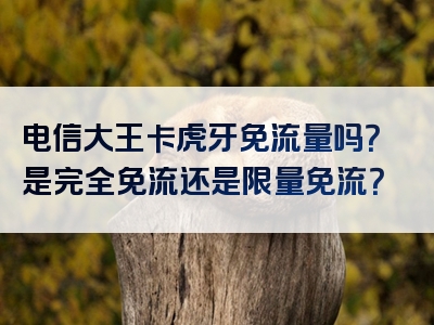 电信大王卡虎牙免流量吗？是完全免流还是限量免流？