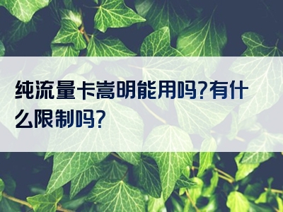 纯流量卡嵩明能用吗？有什么限制吗？
