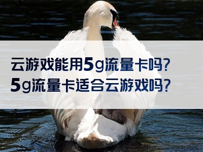 云游戏能用5g流量卡吗？5g流量卡适合云游戏吗？