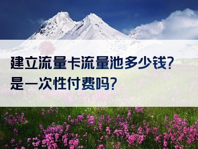 建立流量卡流量池多少钱？是一次性付费吗？
