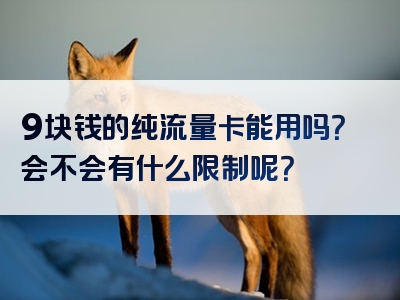 9块钱的纯流量卡能用吗？会不会有什么限制呢？