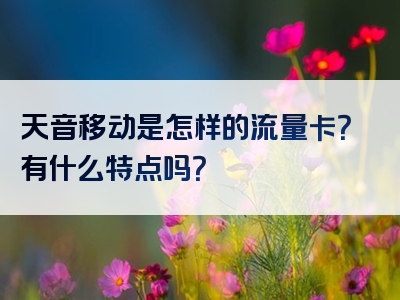 天音移动是怎样的流量卡？有什么特点吗？