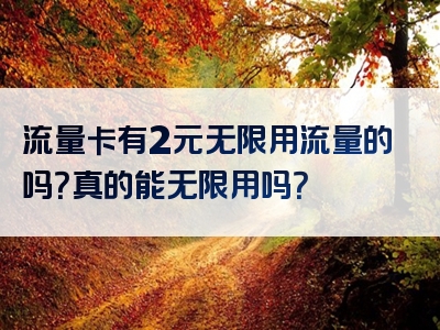 流量卡有2元无限用流量的吗？真的能无限用吗？