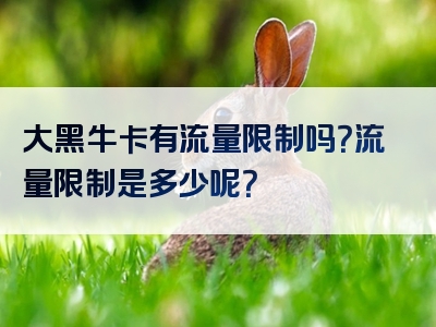 大黑牛卡有流量限制吗？流量限制是多少呢？
