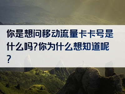 你是想问移动流量卡卡号是什么吗？你为什么想知道呢？