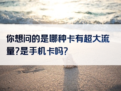 你想问的是哪种卡有超大流量？是手机卡吗？
