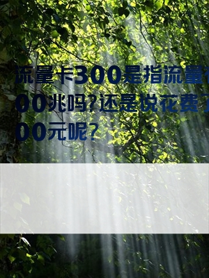 流量卡300是指流量有300兆吗？还是说花费了300元呢？