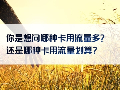 你是想问哪种卡用流量多？还是哪种卡用流量划算？