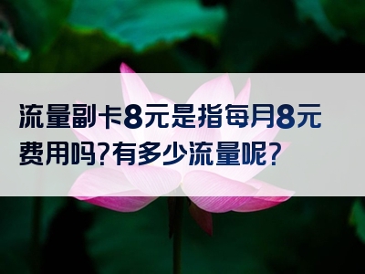 流量副卡8元是指每月8元费用吗？有多少流量呢？