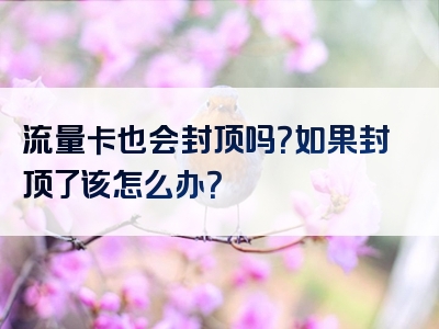 流量卡也会封顶吗？如果封顶了该怎么办？
