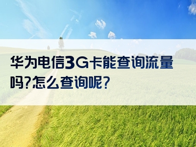 华为电信3G卡能查询流量吗？怎么查询呢？