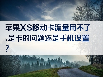 苹果XS移动卡流量用不了，是卡的问题还是手机设置？