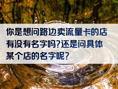你是想问路边卖流量卡的店有没有名字吗？还是问具体某个店的名字呢？