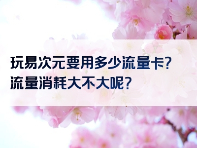 玩易次元要用多少流量卡？流量消耗大不大呢？