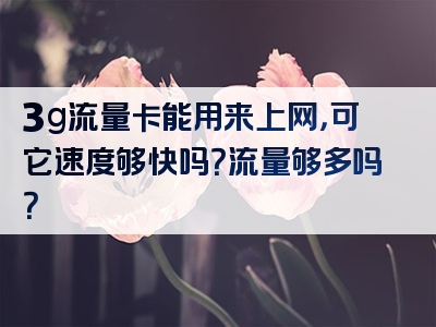 3g流量卡能用来上网，可它速度够快吗？流量够多吗？