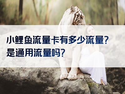 小鲤鱼流量卡有多少流量？是通用流量吗？