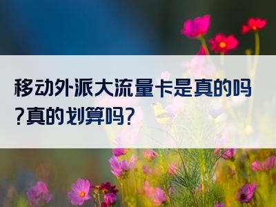 移动外派大流量卡是真的吗？真的划算吗？