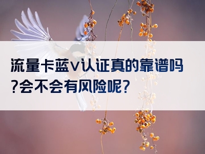 流量卡蓝v认证真的靠谱吗？会不会有风险呢？