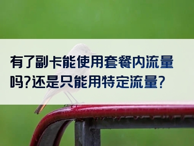 有了副卡能使用套餐内流量吗？还是只能用特定流量？