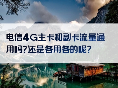电信4G主卡和副卡流量通用吗？还是各用各的呢？