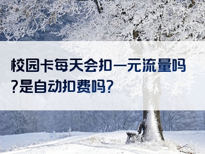 校园卡每天会扣一元流量吗？是自动扣费吗？