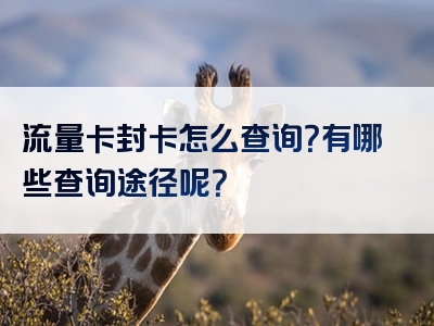 流量卡封卡怎么查询？有哪些查询途径呢？