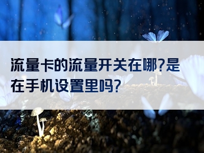 流量卡的流量开关在哪？是在手机设置里吗？