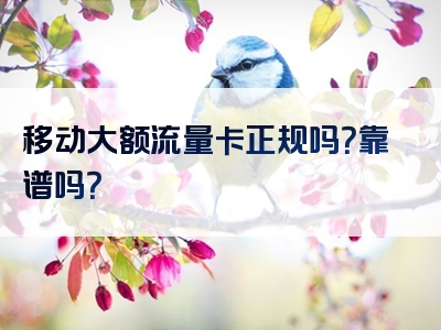 移动大额流量卡正规吗？靠谱吗？