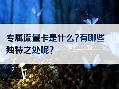 专属流量卡是什么？有哪些独特之处呢？