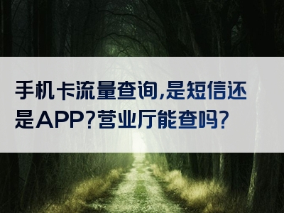 手机卡流量查询，是短信还是APP？营业厅能查吗？
