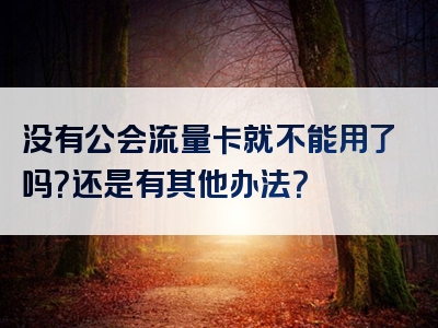没有公会流量卡就不能用了吗？还是有其他办法？