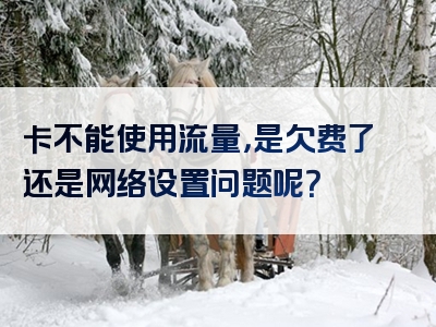 卡不能使用流量，是欠费了还是网络设置问题呢？