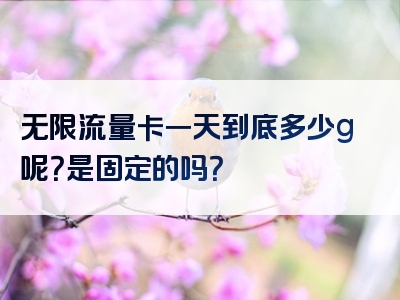无限流量卡一天到底多少g呢？是固定的吗？