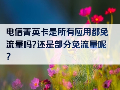 电信菁英卡是所有应用都免流量吗？还是部分免流量呢？