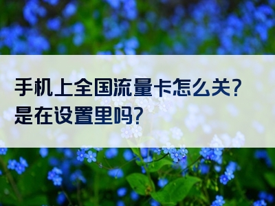 手机上全国流量卡怎么关？是在设置里吗？