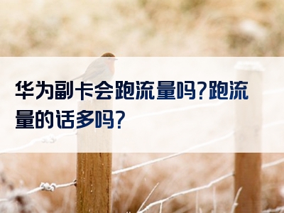 华为副卡会跑流量吗？跑流量的话多吗？