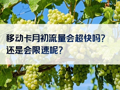 移动卡月初流量会超快吗？还是会限速呢？